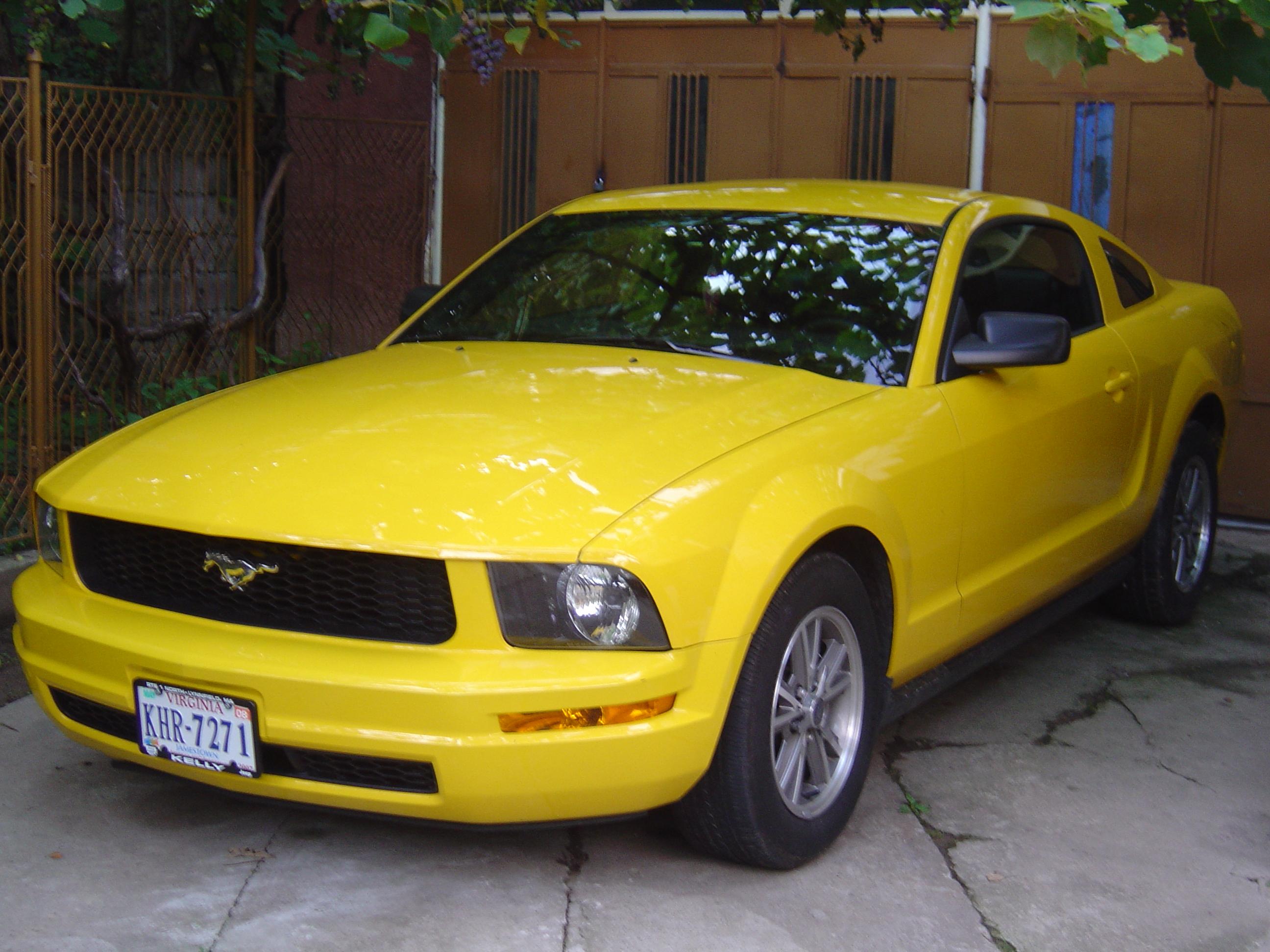2005 Ford Mustang picture