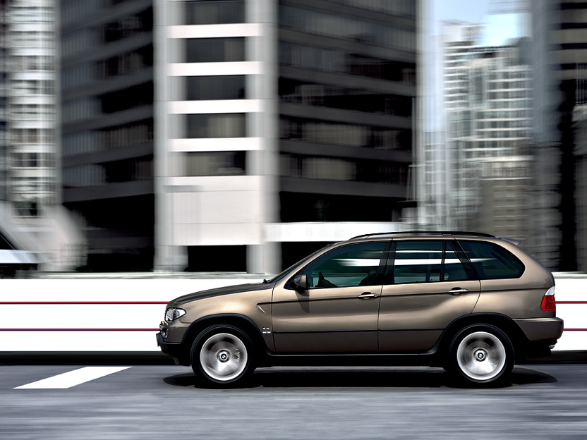 2006 BMW X5 picture
