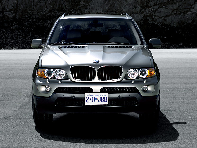 2006 BMW X5 picture