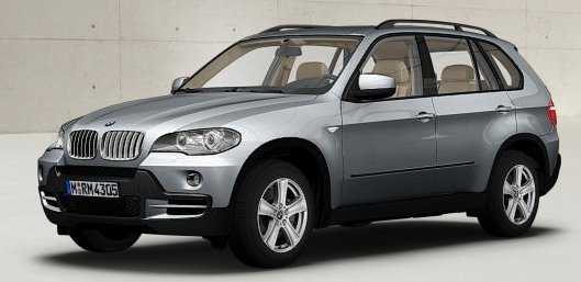2008 BMW X5 picture