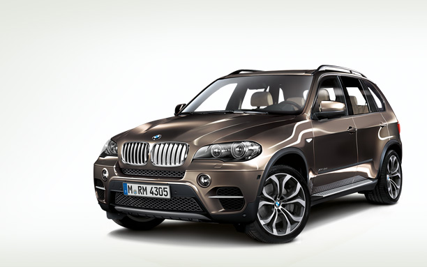 2010 BMW X5 3.0d picture