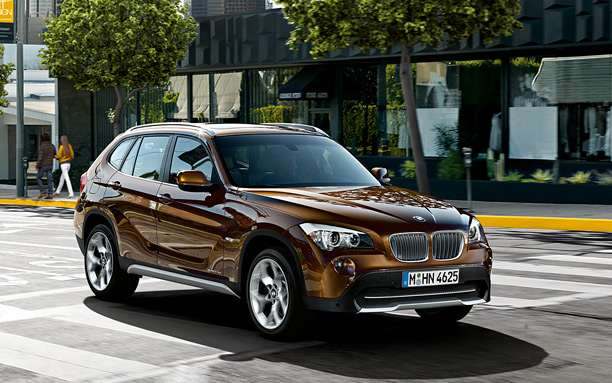 2010 BMW X1 picture