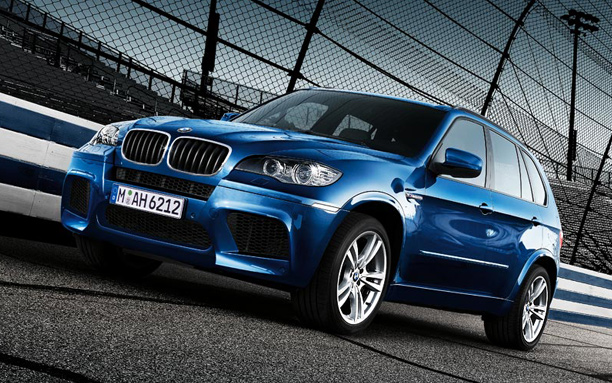 2010 BMW X5 M picture