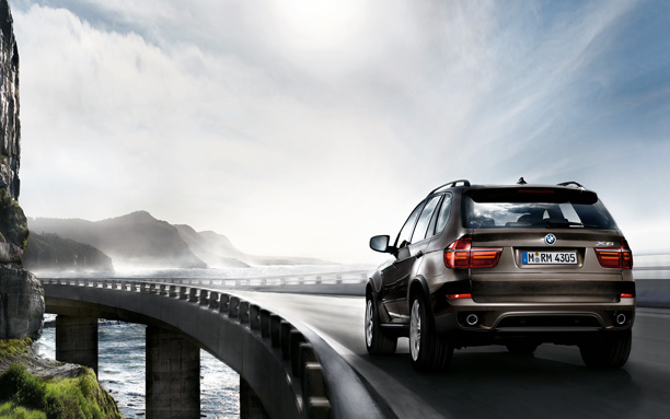2010 BMW X5 4.8i picture