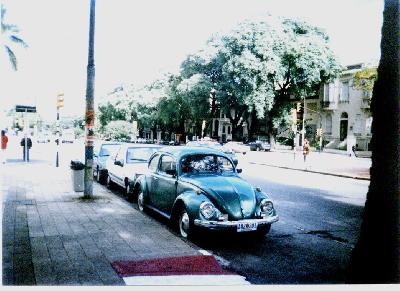 A 1952 Volkswagen Beetle 