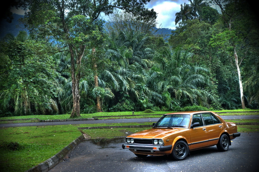 1981 Honda Accord picture