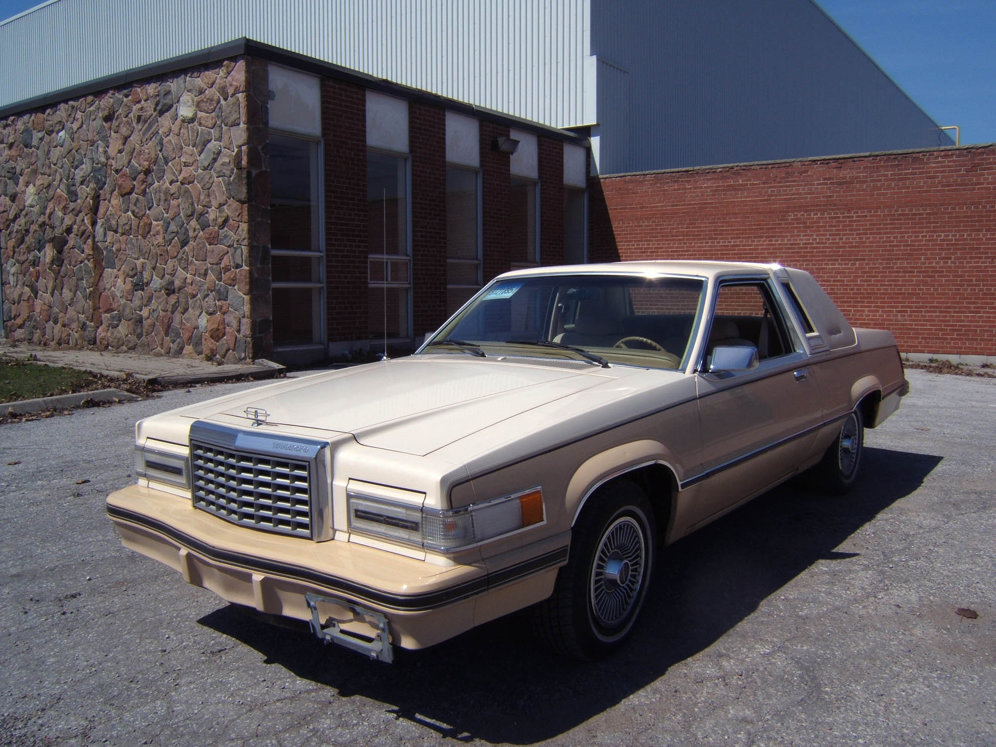 1982 Ford Thunderbird pictures