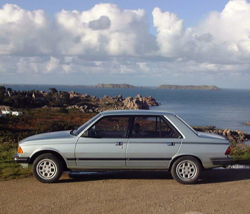 1983 Peugeot 305 1.9 picture