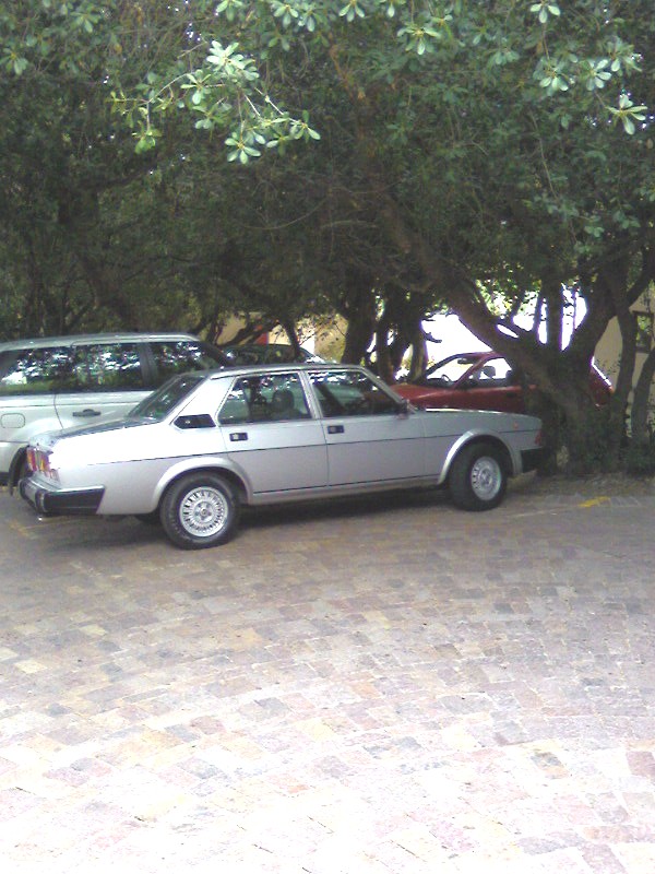 1984 Alfa Romeo Alfa 6 picture