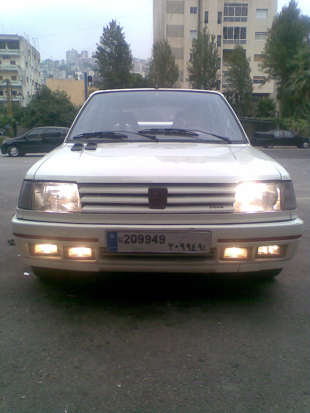 1987 Peugeot 309 1.9 GTi picture