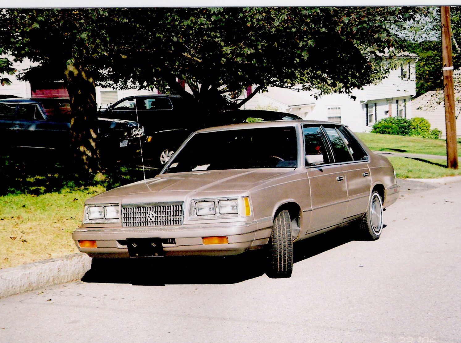 1987 Plymouth Caravelle picture