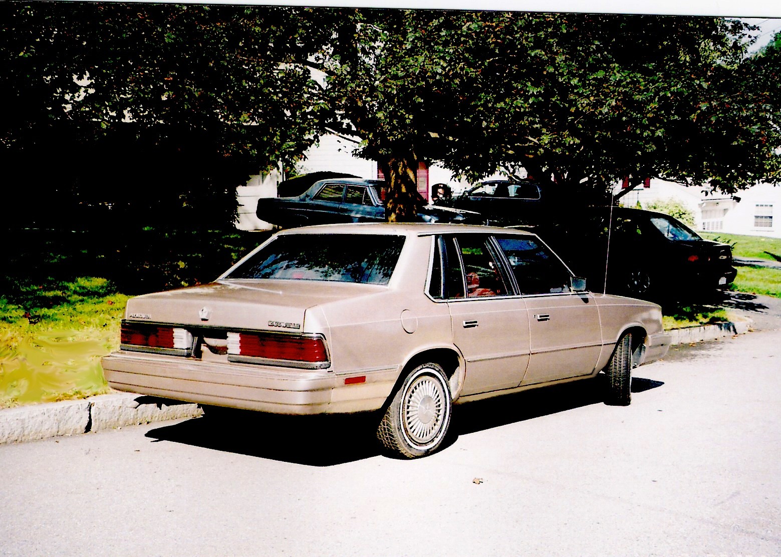 1987 Plymouth Caravelle picture