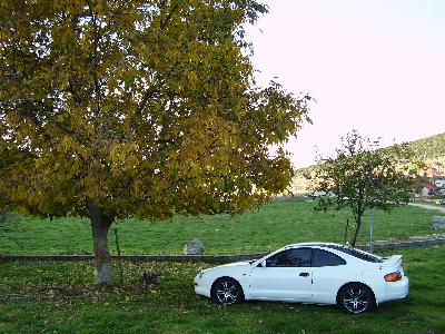 1995 Toyota Celica picture