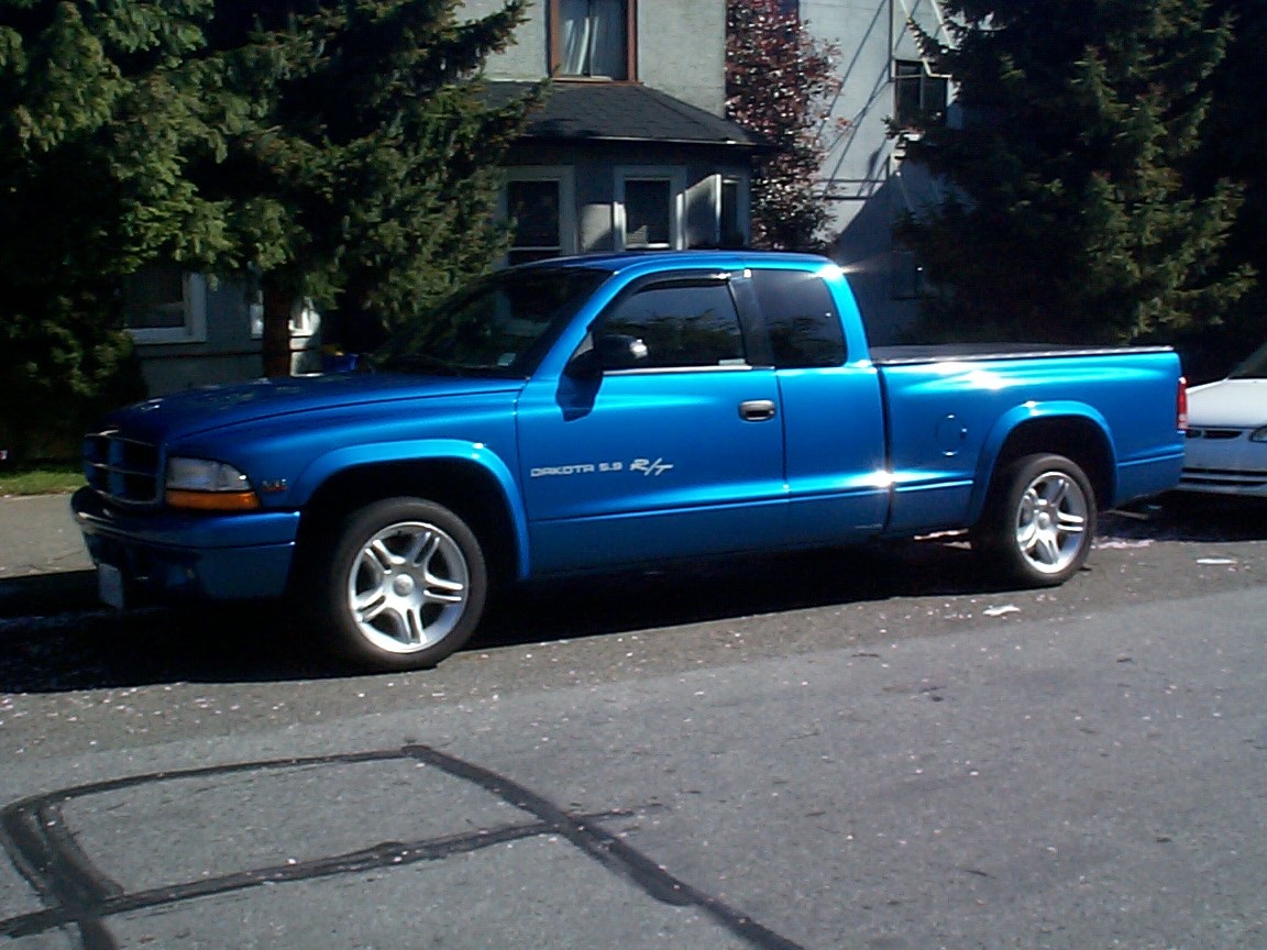 1999 Dodge Dakota picture