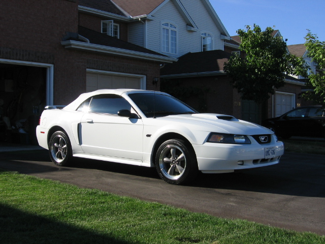 2002 Ford Mustang Convertible picture