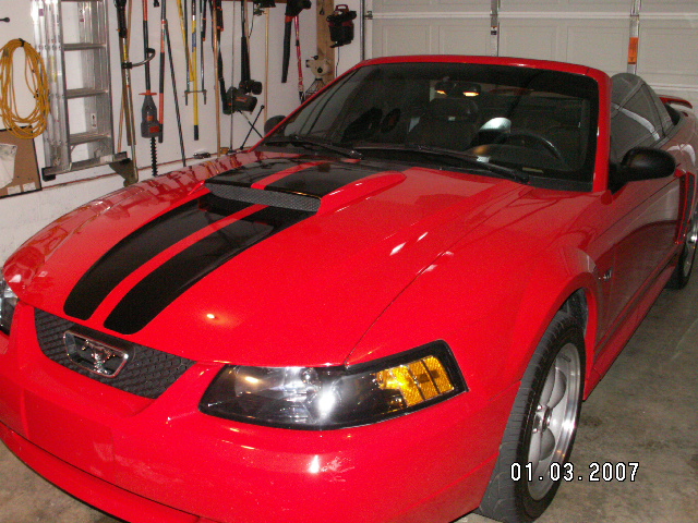 2002 Ford Mustang 4.6 picture