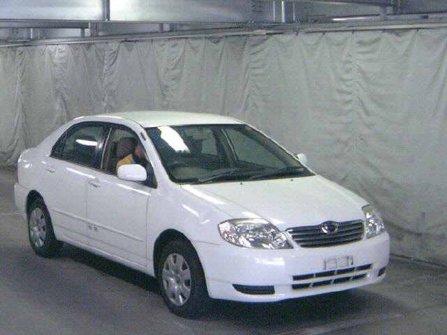 2003 Toyota Corolla Sedan picture