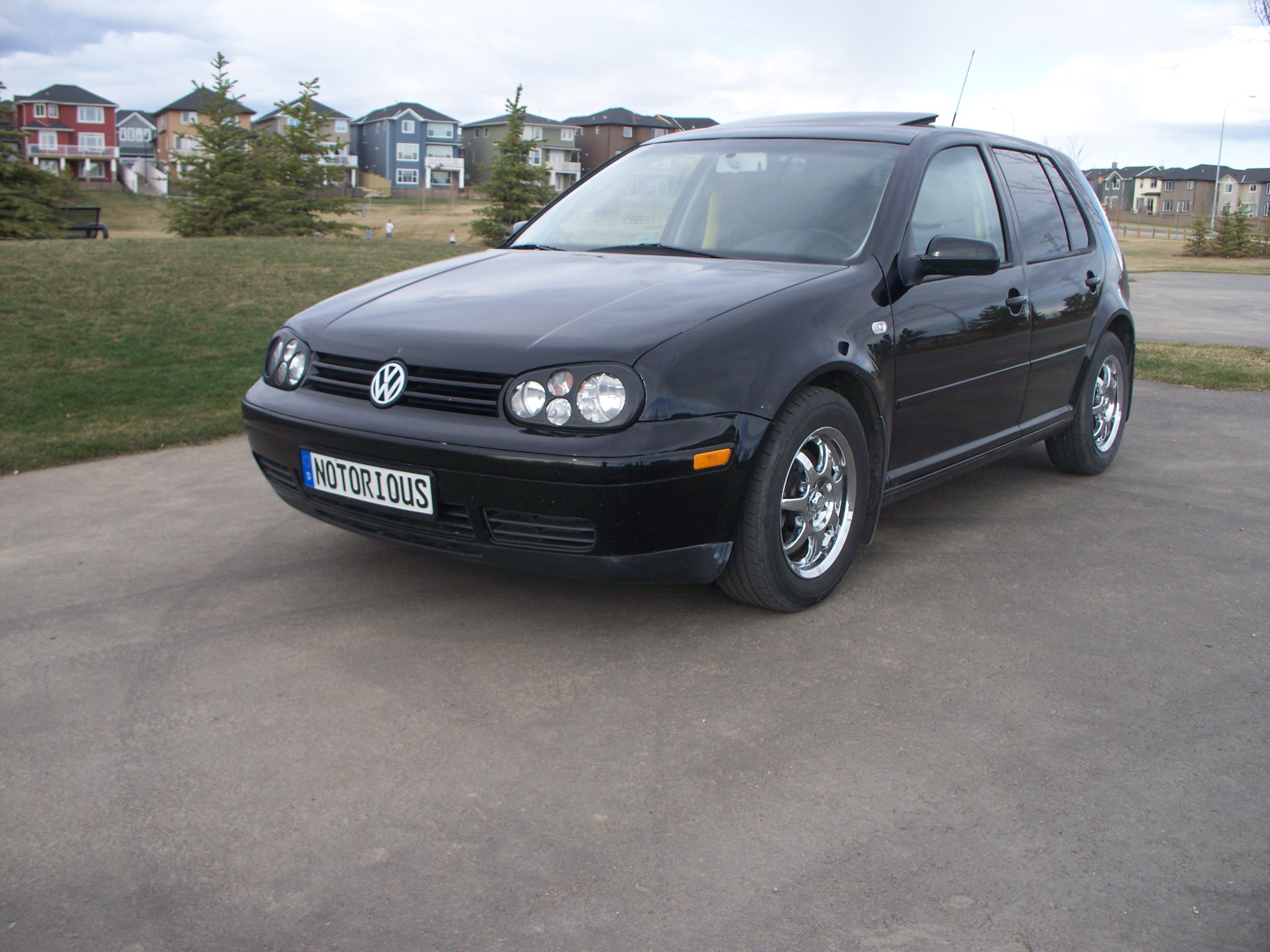 2005 Volkswagen Golf GLS 1.9 TDI picture