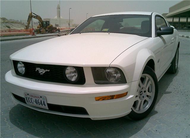 2008 Ford Mustang GT Deluxe Coupe picture