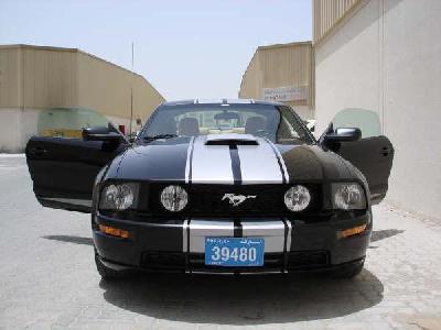 2008 Ford Mustang GT Deluxe Coupe picture