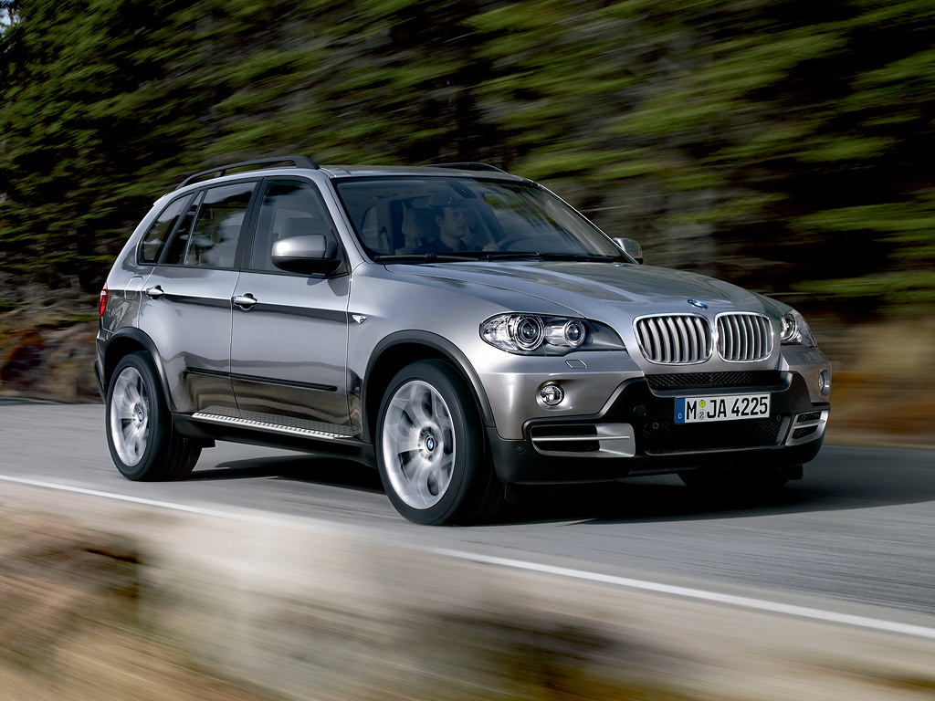 2009 BMW X5 3.0d picture