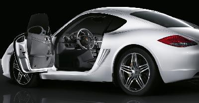 2010 Porsche Cayman S picture