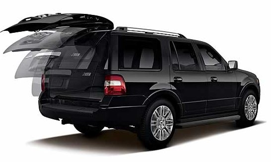 2010 Ford Expedition Limited picture