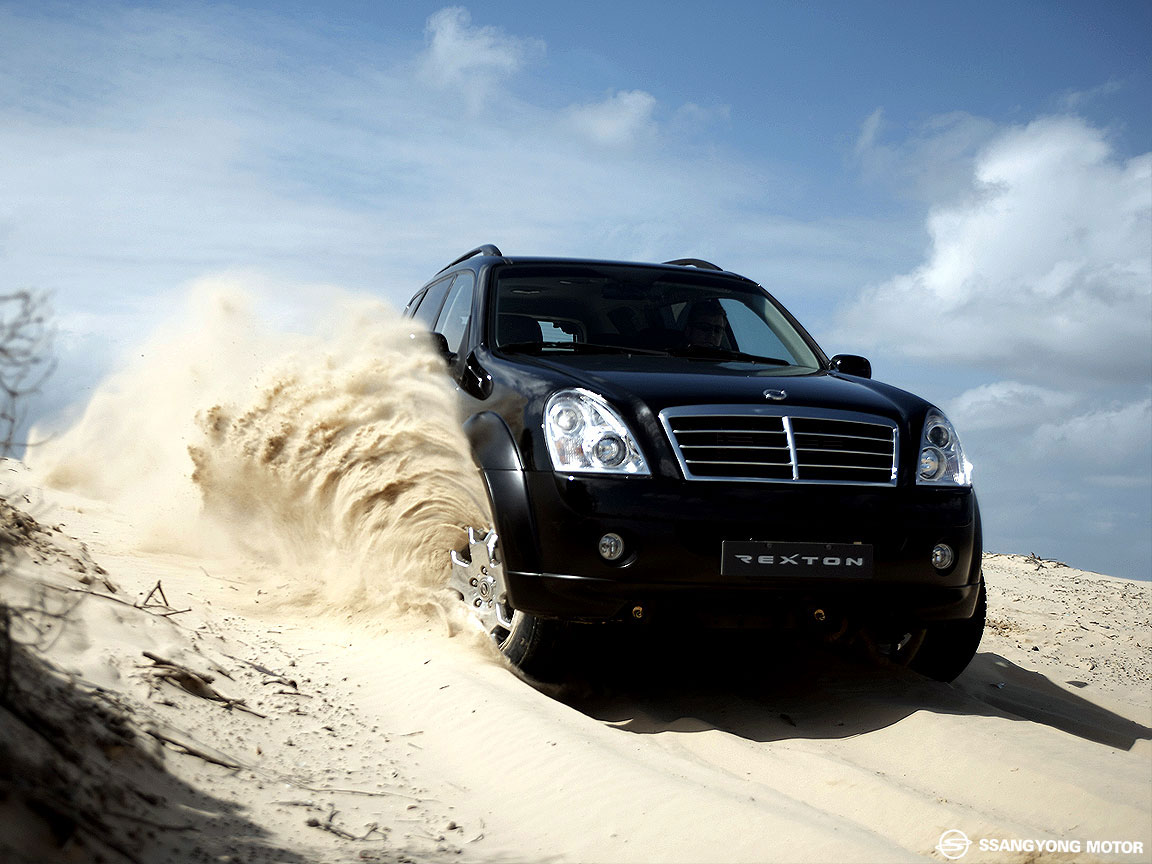 2010 SsangYong Rexton RX 290 S picture