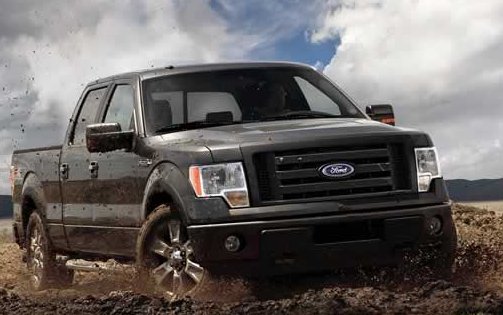 2010 Ford F-150 picture