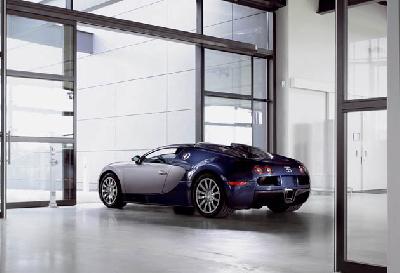 2010 Bugatti Veyron Grand Sport Carbon picture