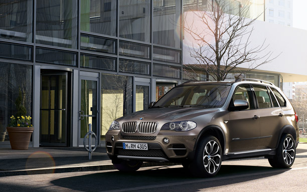 2010 BMW X5 3.0d xDrive picture