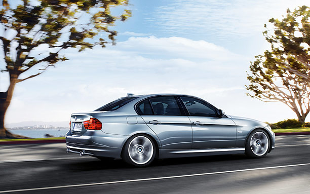 2010 BMW 318d picture