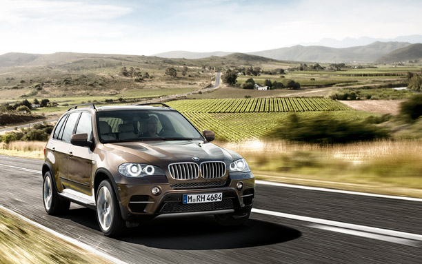 2011 BMW X5 picture