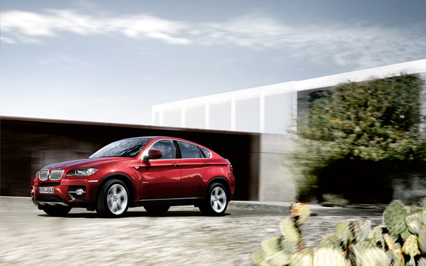 2011 BMW X6 xDrive40d picture