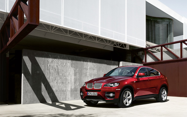 2011 BMW X6 xDrive30d picture