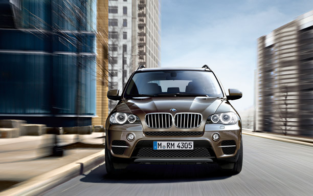 2011 BMW X5 xDrive30d Dynamic picture